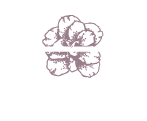 Hesters BVBA